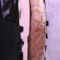 gold lining